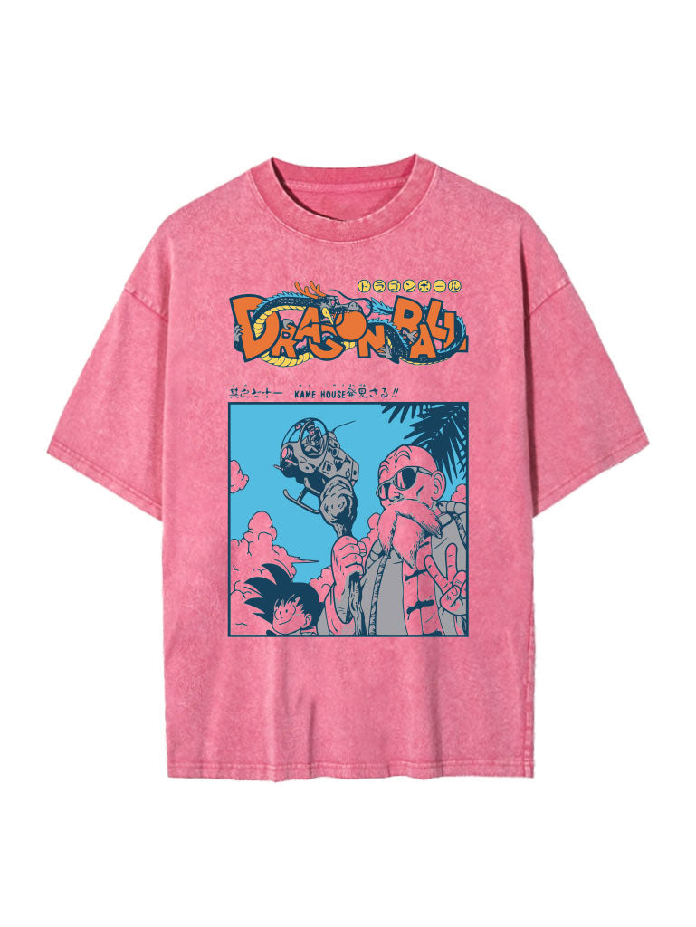 Roshi Island Vintage Tee