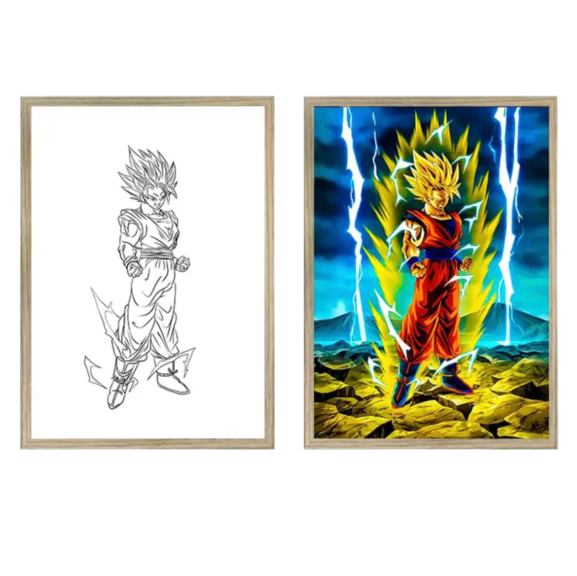 DRAGON BALL® LED Light Painting