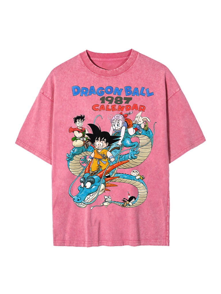 DBZ 1987 Vintage Tee